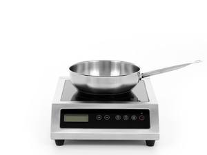 [Zestaw] Kuchenka indukcyjna nastawna 3,5 kW + Rondel do sosów 3,4 l o średnicy 240 mm ze stali nierdzewnej | TECHNICA, Platinum Line