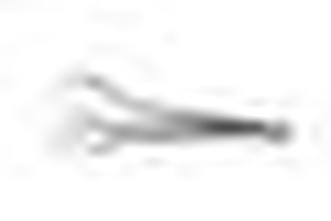 Szczypce do makaronu 270 mm | ABERT, AB-908