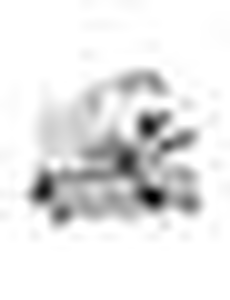 Krajalnica, średnica noża 300 mm | HENDI, Kitchen Line 300