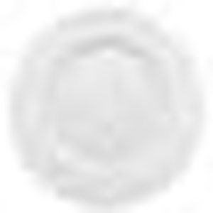 Talerz płaski 270 mm | RAK, Evolution