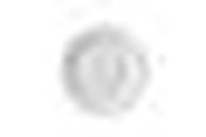 Talerz płaski o średnicy 210 mm | RAK, Banquet