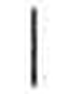 Plis do bluz kucharskich na 5 guzików, dystans 12 cm, czarny | KARLOWSKY, KL1/1