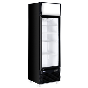 Witryna chłodnicza 1-drzwiowa, 360 l, 0,24 kW, 230V, 578x605x1980 mm | ARKTIC, 233788