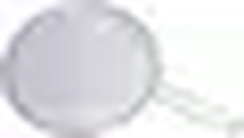 Siatka zapobiegająca pryskaniu tłuszczu, o średnicy 330 mm | CONTACTO, 3103/330