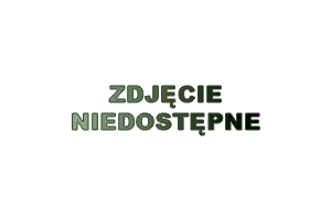 Kuchnia żeliwna gazowa 1-palnikowa, 7 kW, 500x950x310 mm, srebrna | RMGASTRO, TPD - 95 G