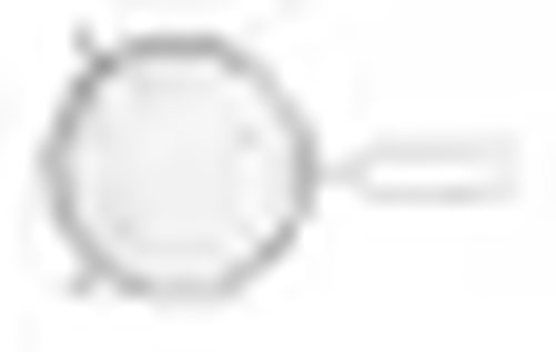 Sito z rączkami o średnicy 200 mm | HENDI, Profi Line