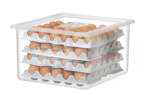 Pojemnik na jajka ovobox 120 zestaw 291x288x41mm | HENDI, Ovobox