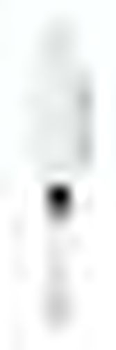 Łyżka do absyntu | ETERNUM, E-771-1