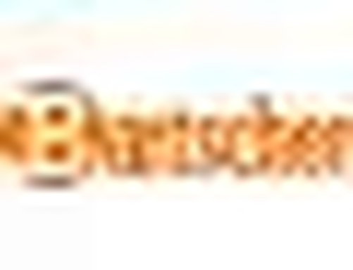 Kosz do frytownicy 8 l, 110x280x100 mm | BARTSCHER, 600 Imbiss