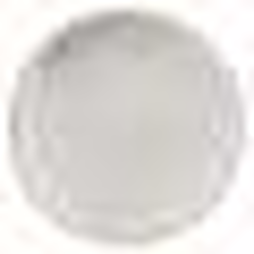 Talerz płaski 280 mm, biały | REVOL, Arborescence