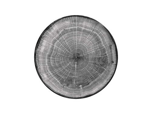 Talerz płaski 240 mm, szary | RAK, Woodart